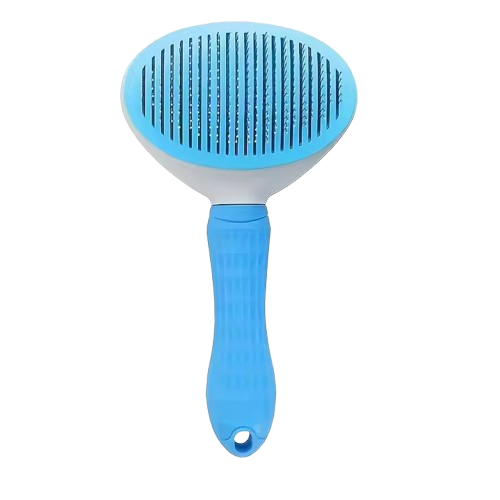 Self-Cleaning Brush